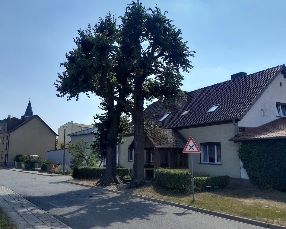 Ferienwohnungen Lobec Calau Außenansicht des Hauses